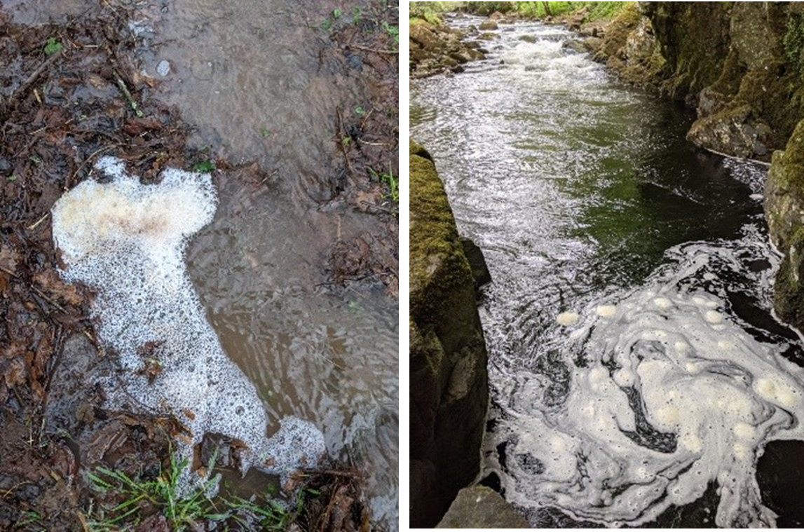 Natural foam
