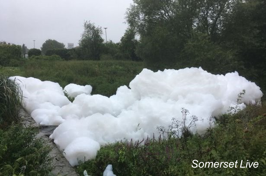 Natural foam
