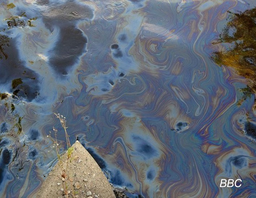 Petroleum oil sheen