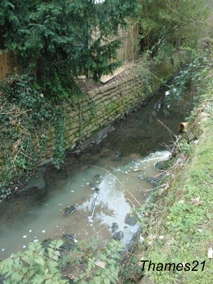Sewage water